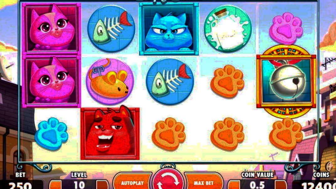 $560 free chip casino at Spin Palace Casino